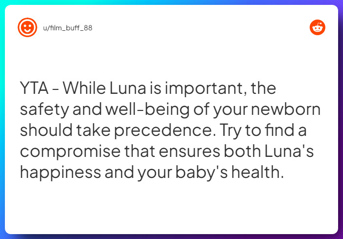 Comment from u/film_buff_88