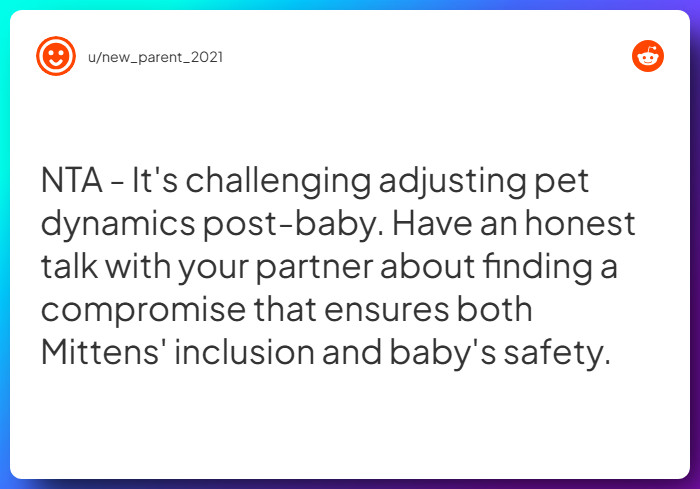 Comment from u/new_parent_2021