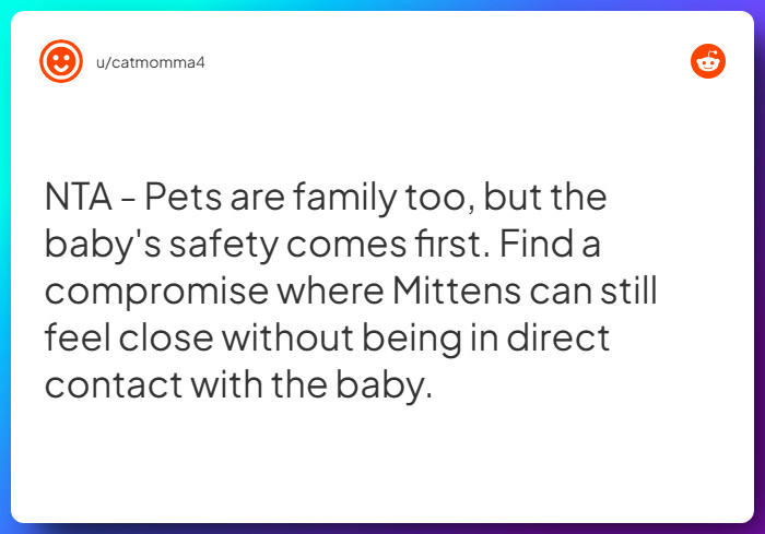 Comment from u/catmomma4