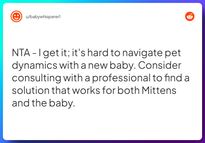 Comment from u/babywhisperer1