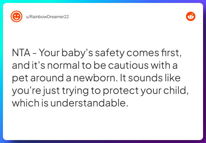 Comment from u/RainbowDreamer22