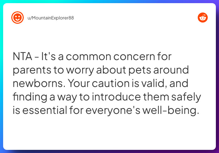 Comment from u/MountainExplorer88