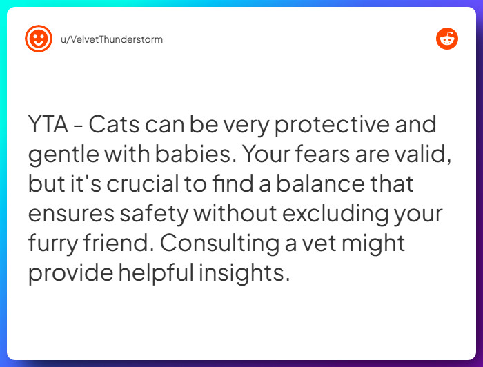 Comment from u/VelvetThunderstorm