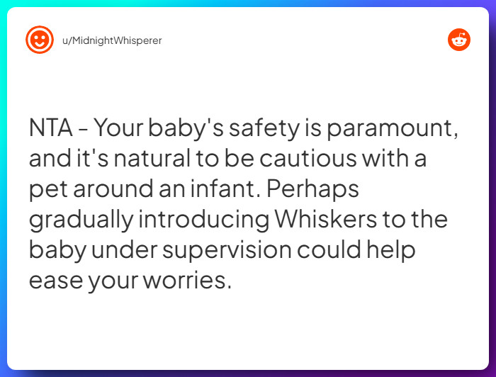 Comment from u/MidnightWhisperer