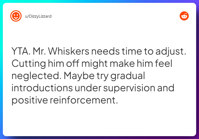 Comment from u/DizzyLizzard