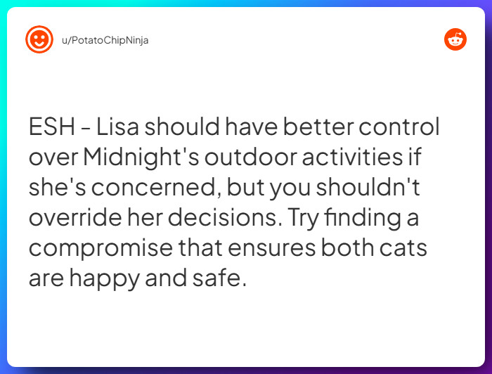 Comment from u/PotatoChipNinja