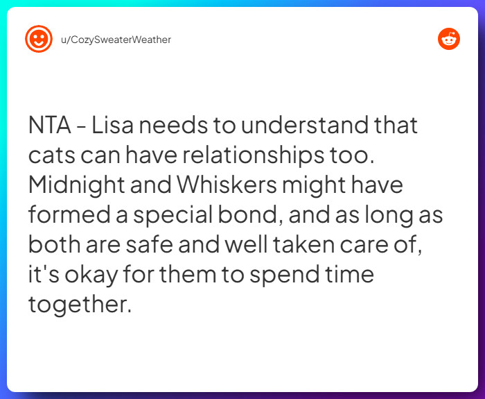 Comment from u/CozySweaterWeather