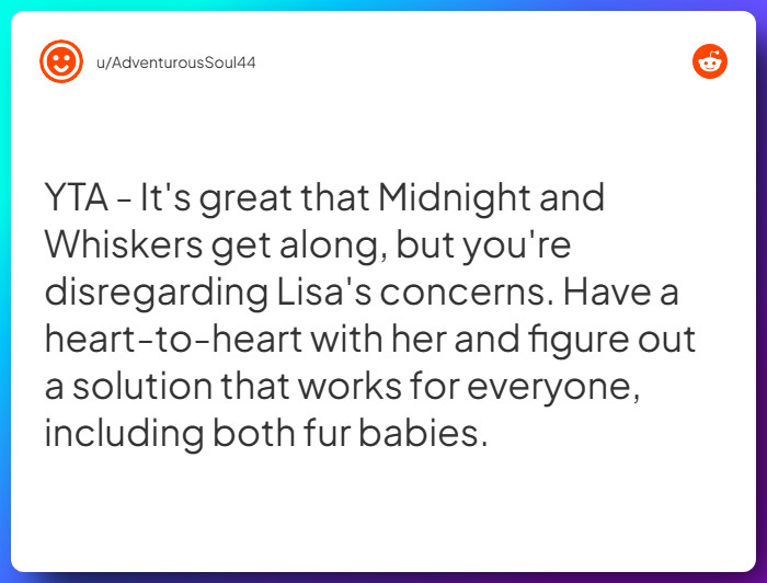 Comment from u/AdventurousSoul44