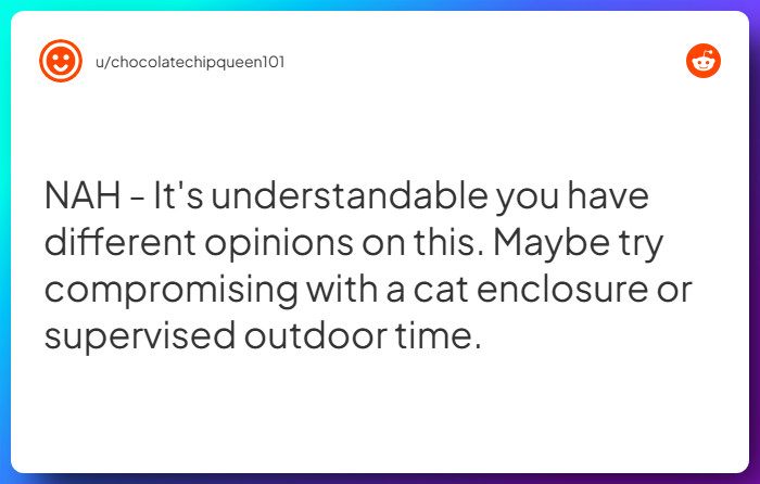 Comment from u/chocolatechipqueen101