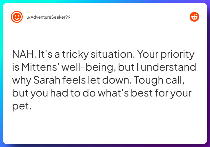 Comment from u/AdventureSeeker99