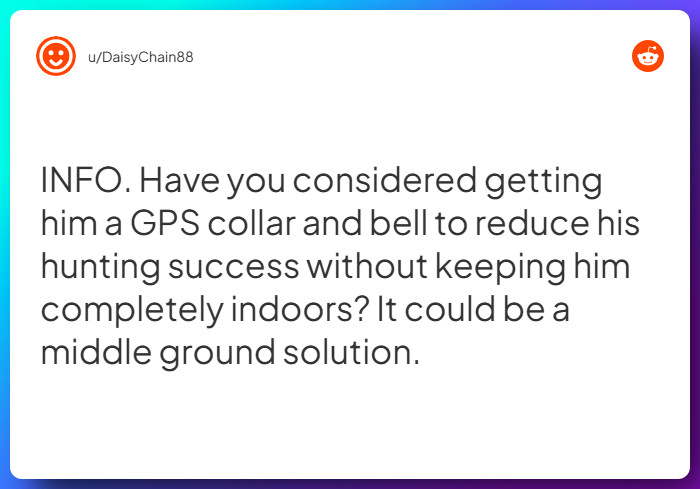 Comment from u/DaisyChain88