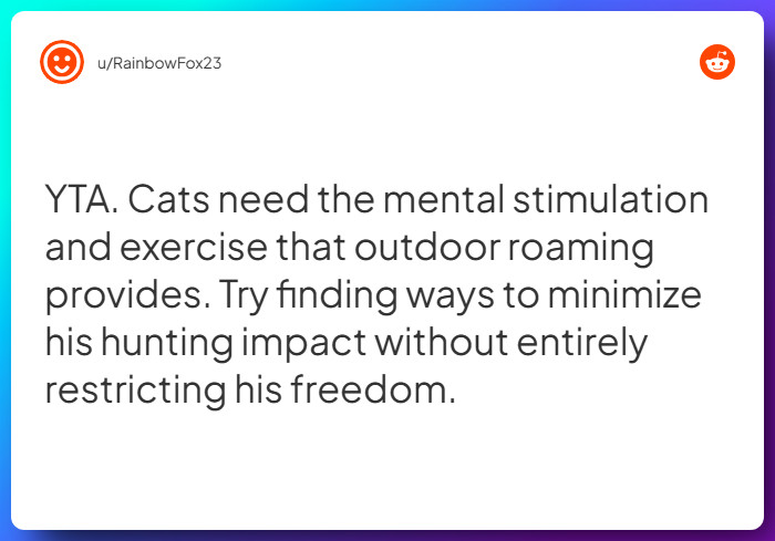 Comment from u/RainbowFox23