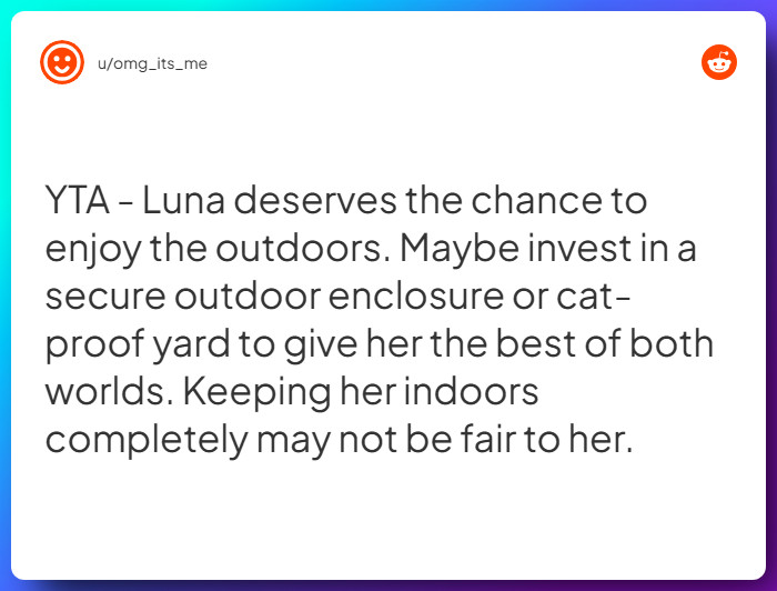 Comment from u/omg_its_me