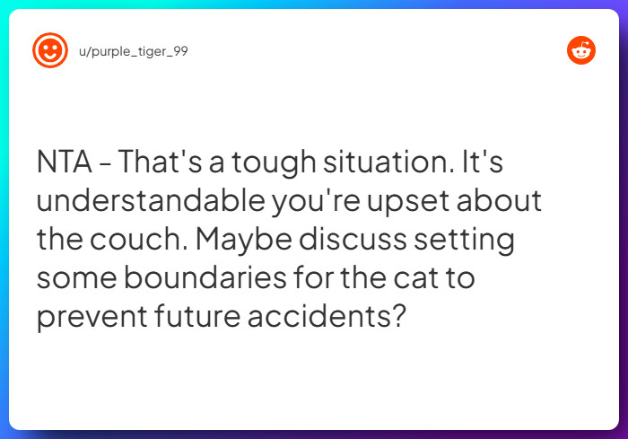 Comment from u/purple_tiger_99