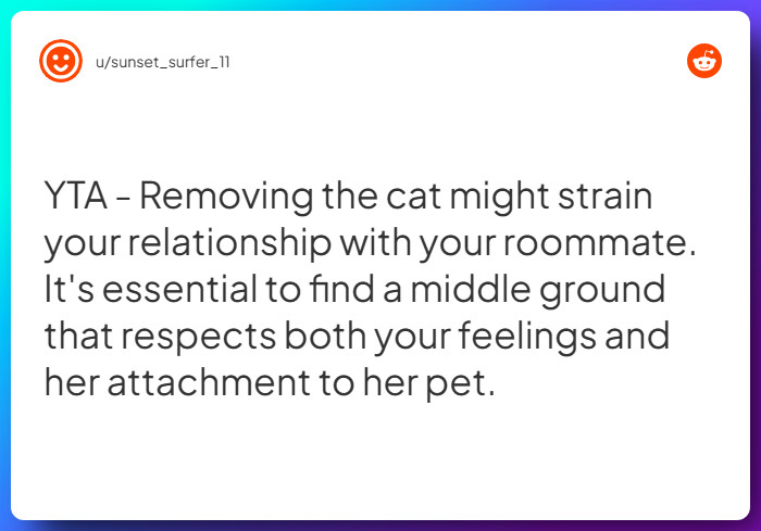 Comment from u/sunset_surfer_11