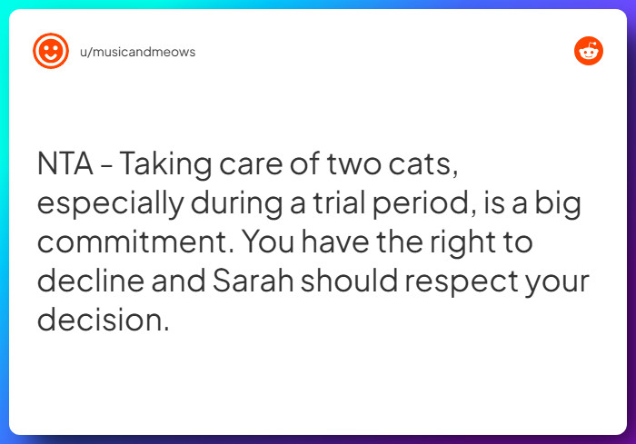 Comment from u/musicandmeows