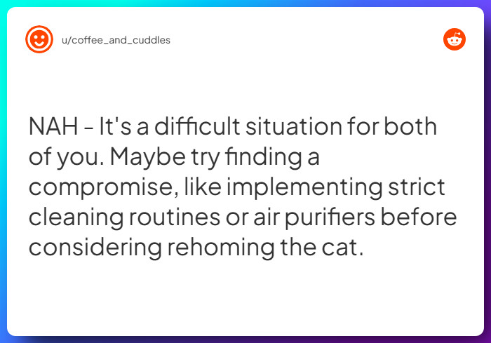 Comment from u/coffee_and_cuddles