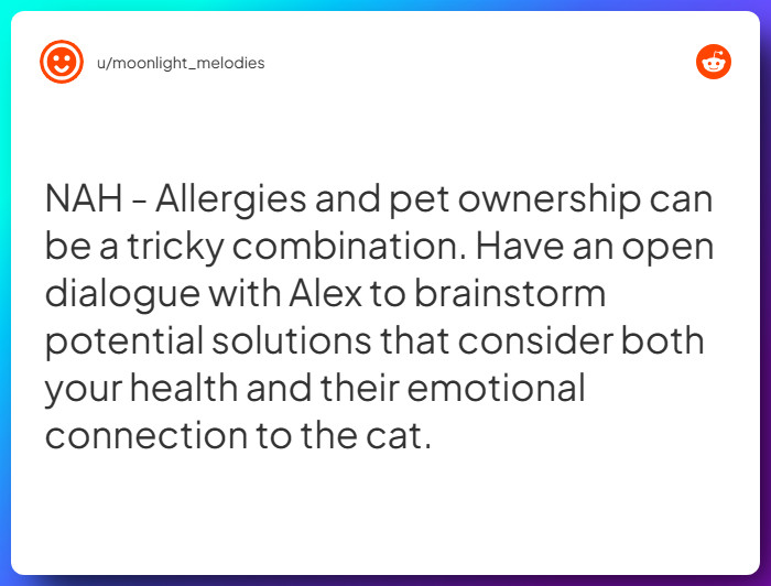 Comment from u/moonlight_melodies