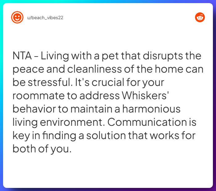 Comment from u/beach_vibes22