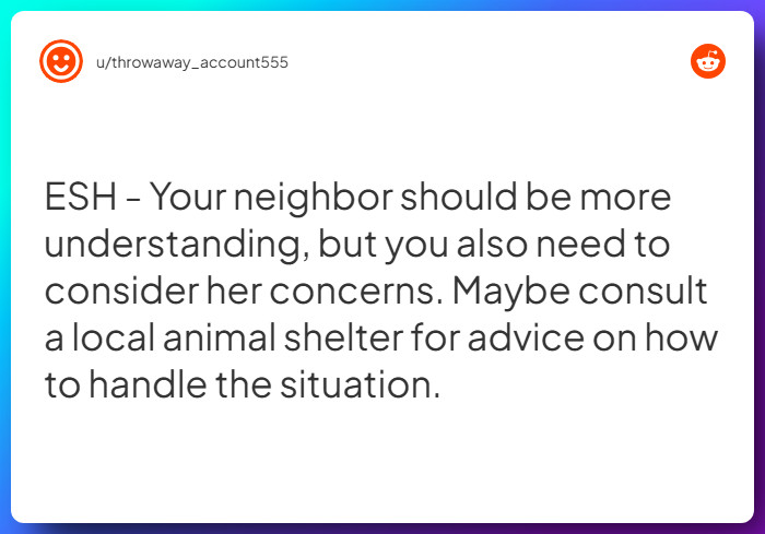 Comment from u/throwaway_account555