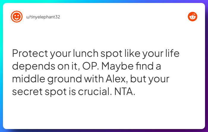 Comment from u/tinyelephant32