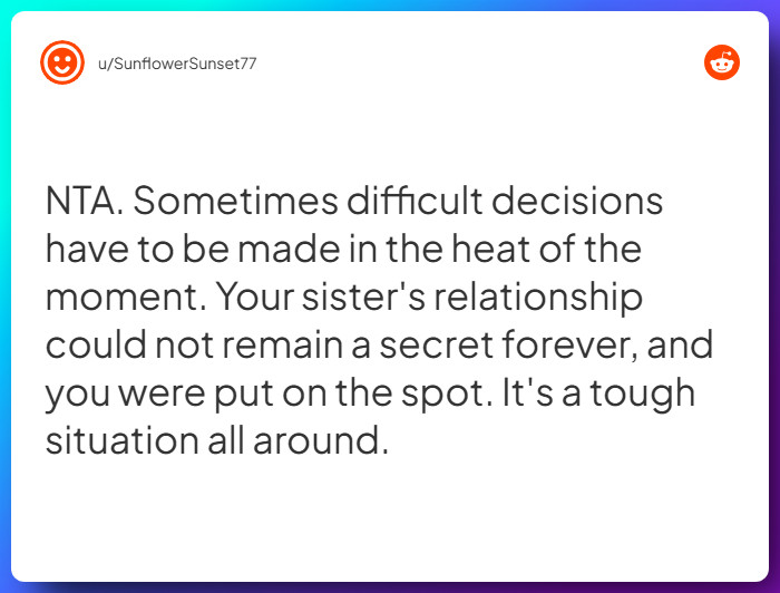 Comment from u/SunflowerSunset77