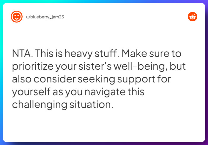 Comment from u/blueberry_jam23