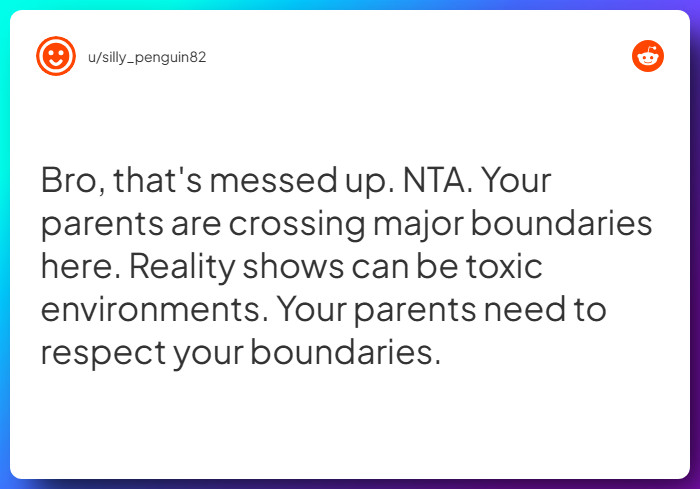 Comment from u/silly_penguin82