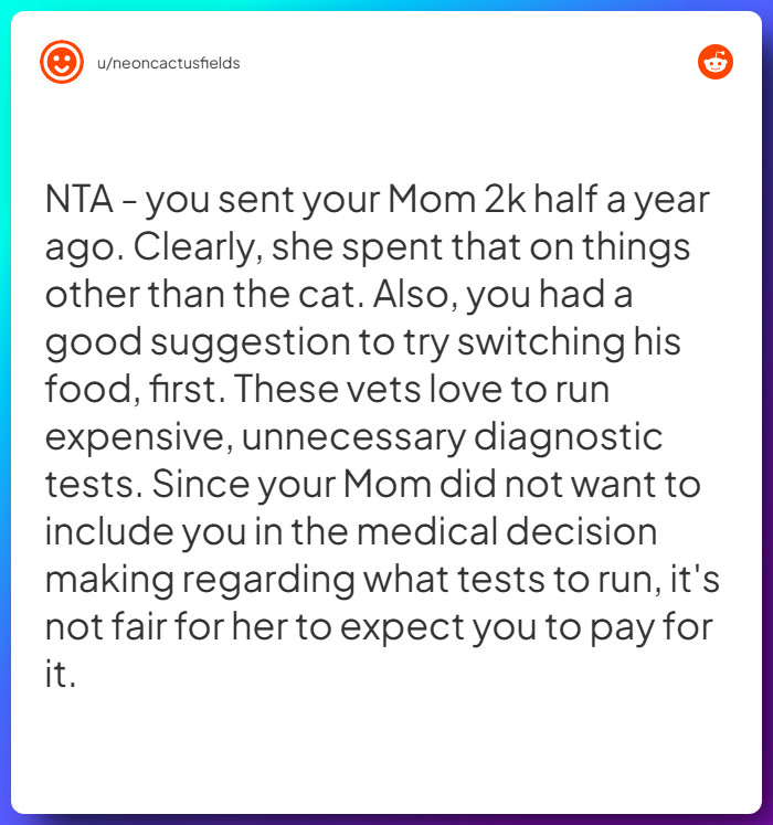 Comment from u/neoncactusfields