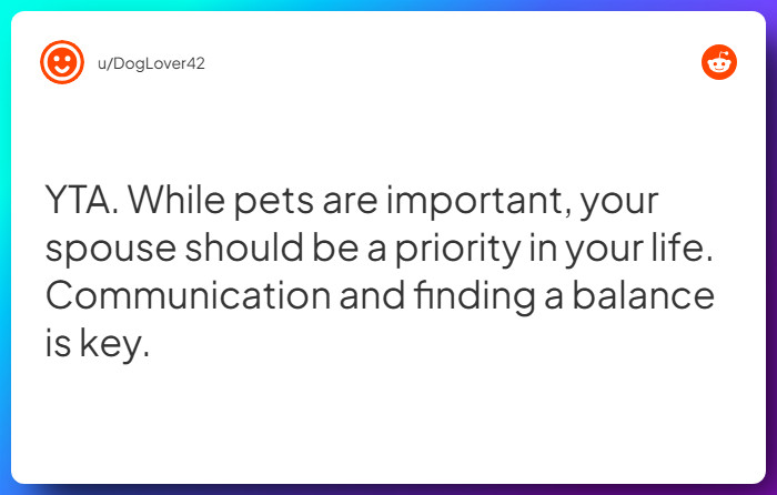 Comment from u/DogLover42