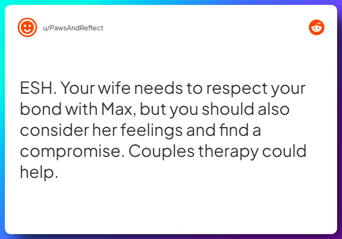 Comment from u/PawsAndReflect