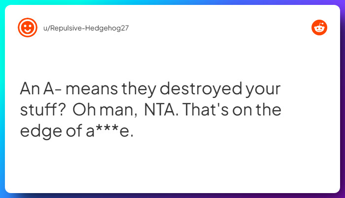 Comment from u/Repulsive-Hedgehog27