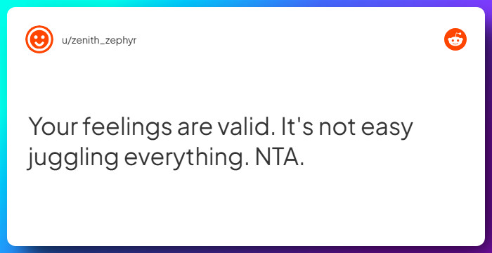 Comment from u/zenith_zephyr