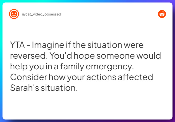 Comment from u/cat_video_obsessed