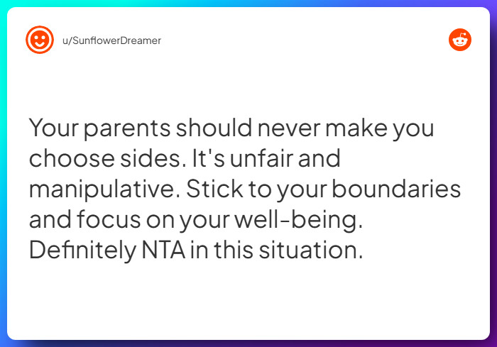 Comment from u/SunflowerDreamer