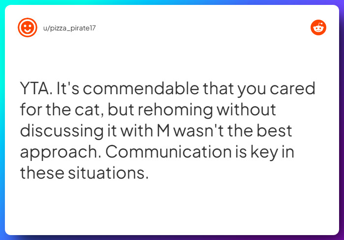 Comment from u/pizza_pirate17