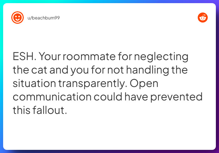 Comment from u/beachbum99