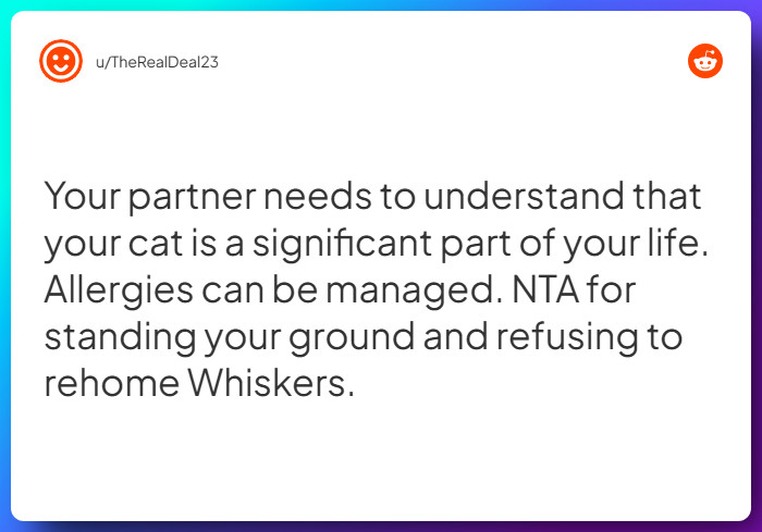 Comment from u/TheRealDeal23