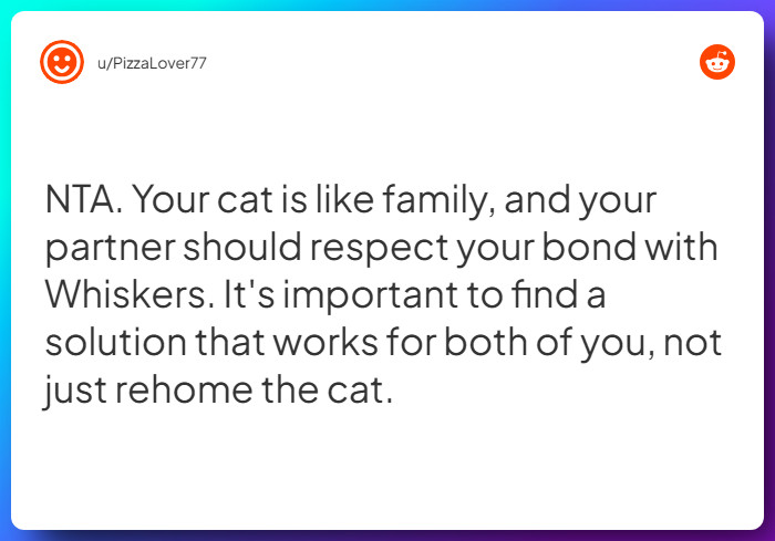 Comment from u/PizzaLover77