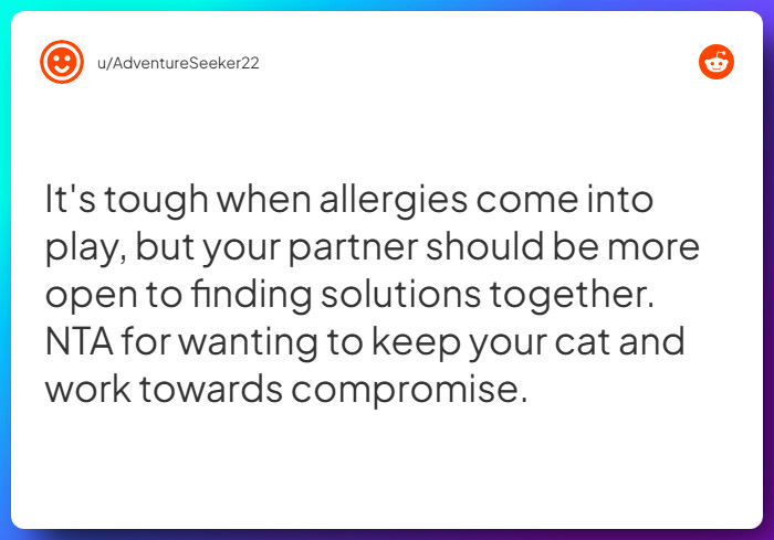 Comment from u/AdventureSeeker22