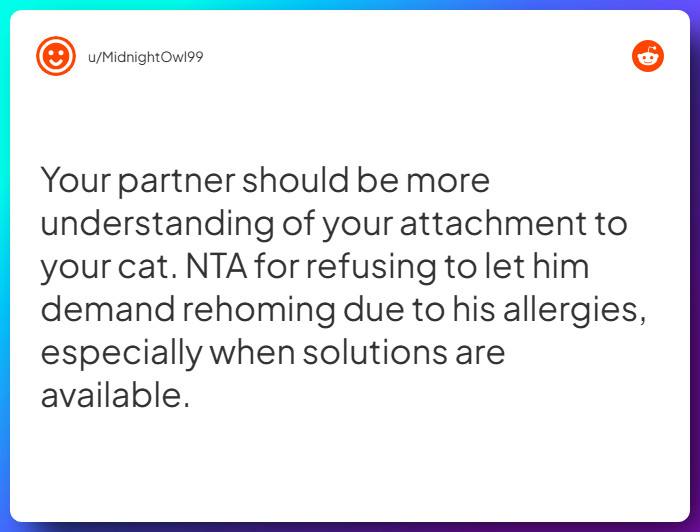 Comment from u/MidnightOwl99