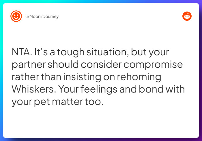 Comment from u/MoonlitJourney