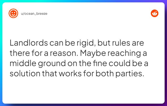 Comment from u/ocean_breeze