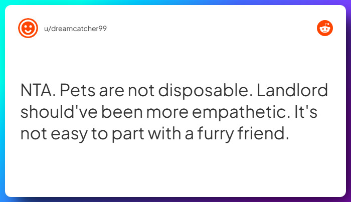 Comment from u/dreamcatcher99