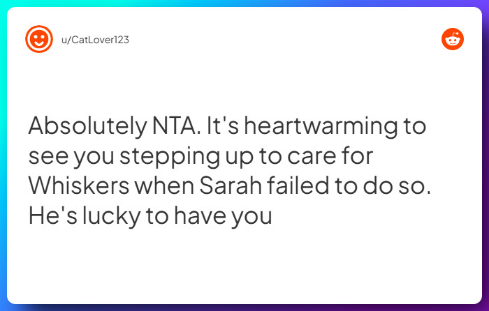 Comment from u/CatLover123