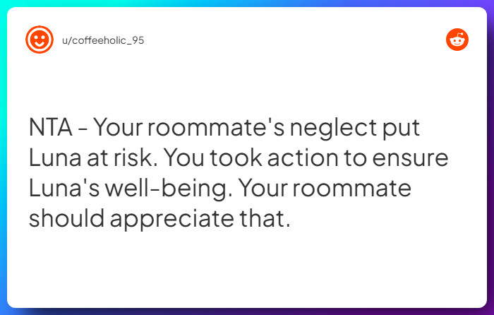 Comment from u/coffeeholic_95