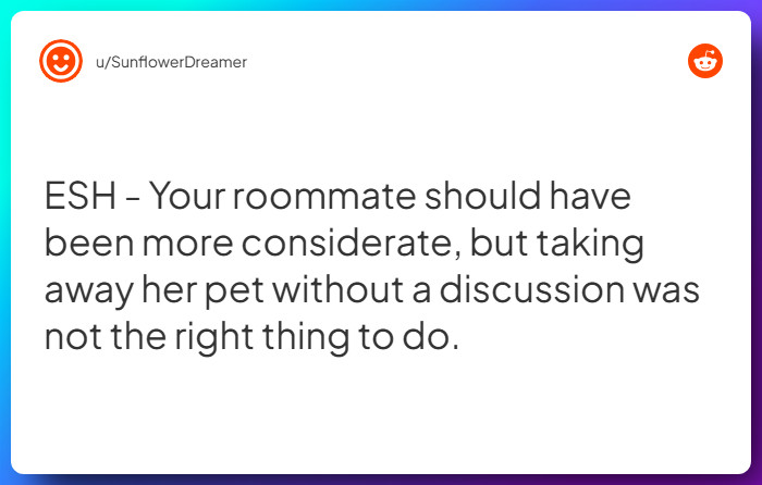 Comment from u/SunflowerDreamer