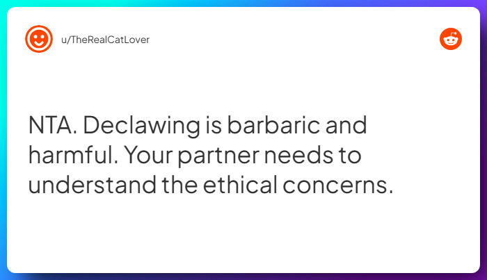 Comment from u/TheRealCatLover