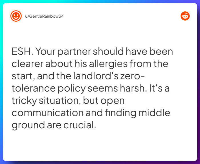 Comment from u/GentleRainbow34