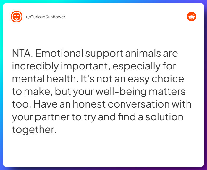 Comment from u/CuriousSunflower